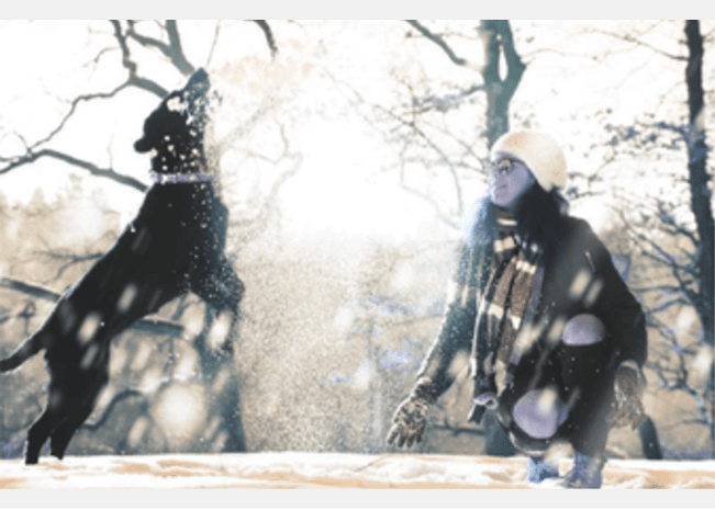 Segmentació de persones